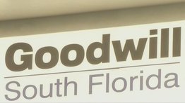 Florida | Hombre intentó grabar a mujer mientras se desvestía en una tienda de ropa