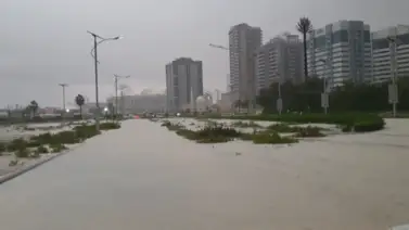Inundaciones paralizan aeropuerto en Dubái (+Video) Inundaciones paralizan aeropuerto en Dubái (+Video)