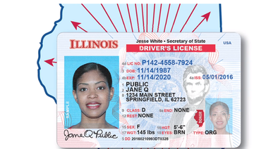 Indocumentados en Illinois: Procedimiento para solicitar una licencia de conducir