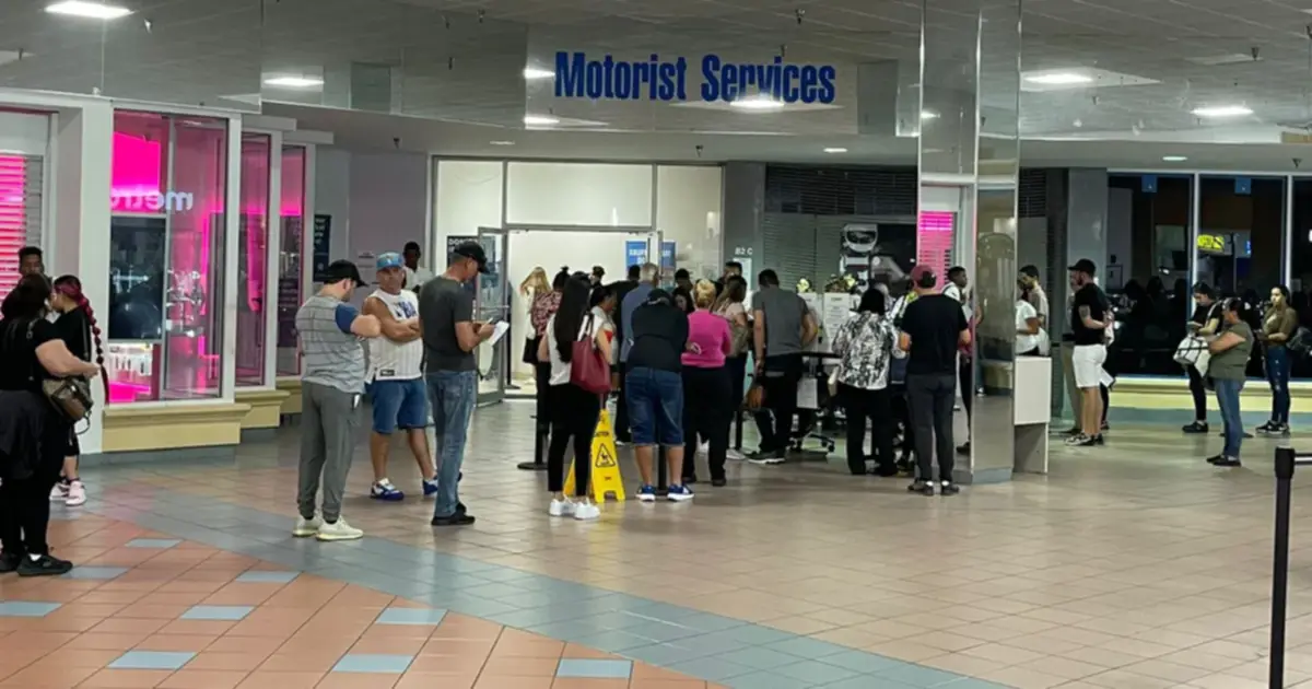 Gratis | Así puedes restablecer tu licencia de conducir suspendida en Miami-Dade