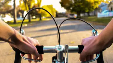 Ciclista cayó al río Caroní tras ser atacado por una avispa (+Detalles) Ciclista cayó al río Caroní tras ser atacado por una avispa (+Detalles)