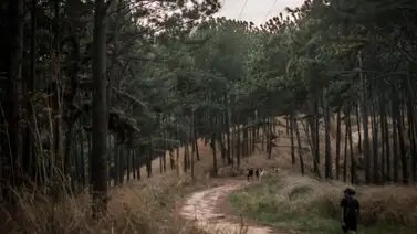 Lacava cierra el acceso a todos los cerros de Valencia Lacava cierra el acceso a todos los cerros de Valencia