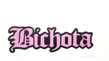 ¿Qué significado tiene la palabra "Bichota"?