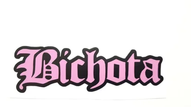 ¿Qué significado tiene la palabra "Bichota"?