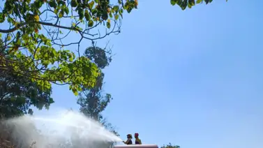 Realizan labores de refrescamiento en El Ávila este #11Abr Realizan labores de refrescamiento en El Ávila este #11Abr