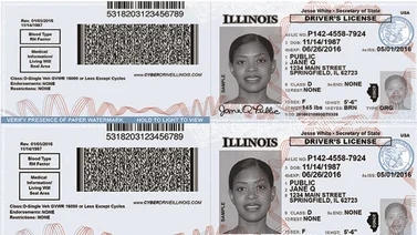 Esto necesita si quiere obtener la nueva licencia de conducir para indocumentados en Illinois
