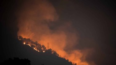 Reportan incendio forestal en el Ávila este #10Abr (+Video)