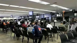 ¿Dónde pueden tramitar los indocumentados la licencia de conducir en Illinois?