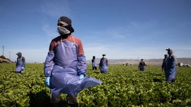 ¿Cuál es el salario de un trabajador agrícola en EEUU?