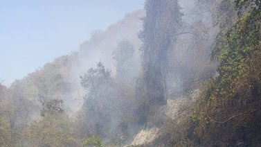 Controlan incendios forestales en varios puntos del país