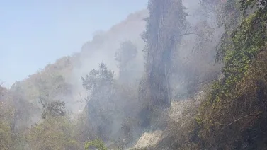 Controlan incendios forestales en varios puntos del país
