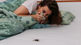 ¡No las mates! Cómo ahuyentar las arañas de casa