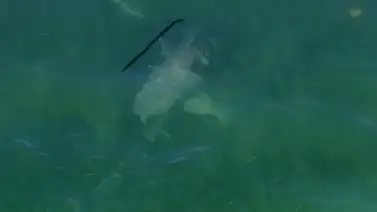 Helicóptero se estrelló en playa de Miami tras fallas en motor (+VIDEO) Helicóptero se estrelló en playa de Miami tras fallas en motor (+VIDEO)