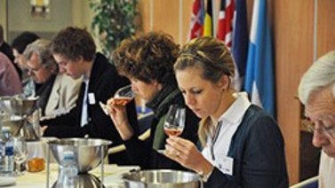 Vino venezolano gana importante reconocimiento en Francia
