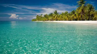 Florida | Esta es la playa más barata para vacacionar Florida | Esta es la playa más barata para vacacionar