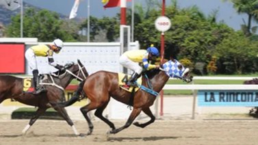 INH: Hembras de 4 y más años por la Copa en La Rinconada