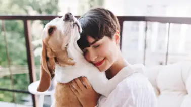 Señales que indican que los perros no gozan de buena salud Señales que indican que los perros no gozan de buena salud