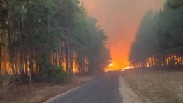 Esto es lo que se sabe sobre el incendio en el bosque de pinos de Uverito