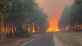 Esto es lo que se sabe sobre el incendio en el bosque de pinos de Uverito