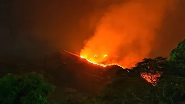 Detienen a siete sospechosos de causar incendios en el Henri Pittier (+Detalles)