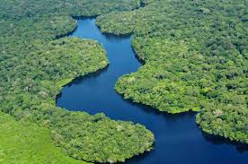 Francia y Brasil anuncian millonario plan de inversión para la Amazonia Francia y Brasil anuncian millonario plan de inversión para la Amazonia