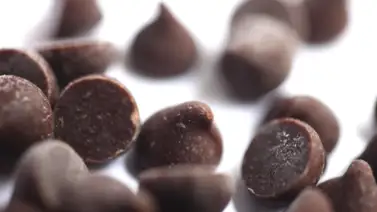 Altos precios del cacao amargan el chocolate Altos precios del cacao amargan el chocolate