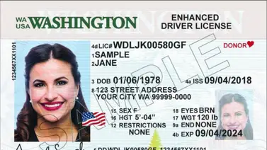 ¿Cómo indocumentados pueden obtener la licencia de conducir en Washington? ¿Cómo indocumentados pueden obtener la licencia de conducir en Washington?