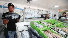 Sepa hasta cuándo venderán pescado barato en Caracas (+Precios)
