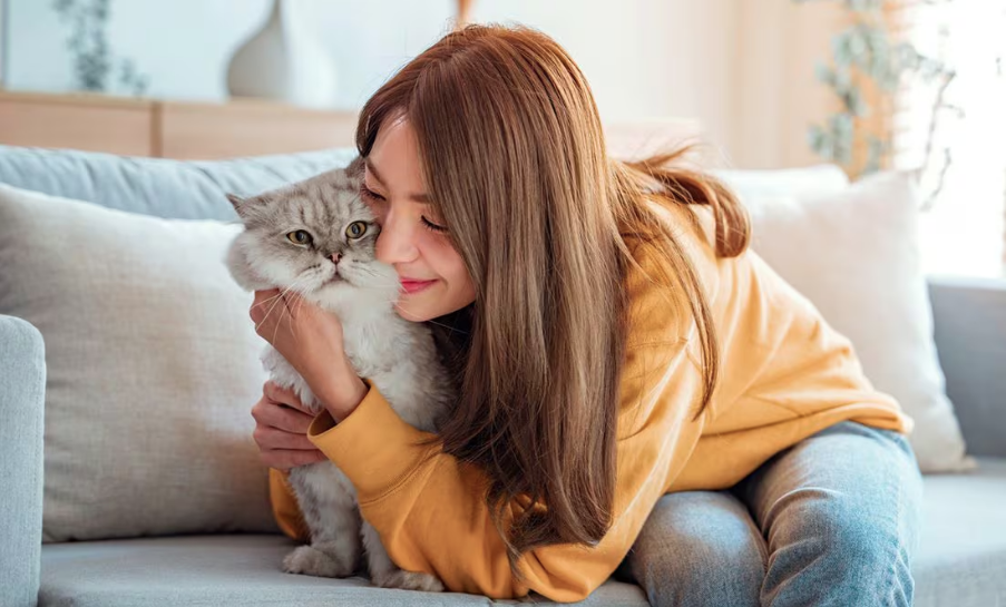 Conoce más a esta mascota preferida en los hogares Conoce más a esta mascota preferida en los hogares