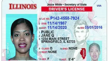 Illinois | Indocumentados podrán obtener licencia de conducir (+Requisitos) Illinois | Indocumentados podrán obtener licencia de conducir (+Requisitos)