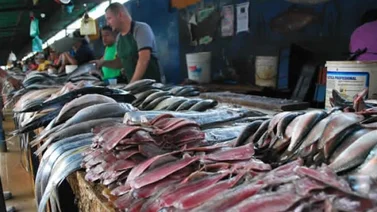 Conozca dónde comprar pescado fresco y barato en Caracas desde este #22Mar