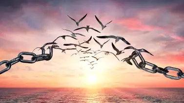 El apego es sinónimo de un hogar tóxico El apego es sinónimo de un hogar tóxico