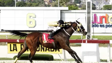 Gánate $1.600 con las hípicas de esta semana: Te contamos cómo Gánate $1.600 con las hípicas de esta semana: Te contamos cómo