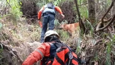 Activan búsqueda de cinco extraviados en el Waraira Repano