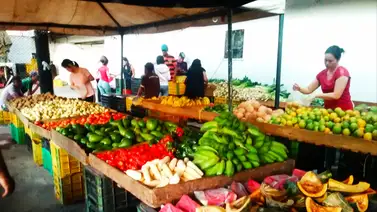 Caracas| Mercado de los "gochitos" tendrán nuevo horario (+Días) Caracas| Mercado de los "gochitos" tendrán nuevo horario (+Días)