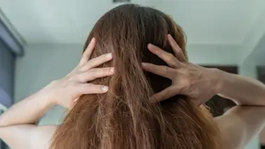 No más melena rebelde con estos trucos de belleza No más melena rebelde con estos trucos de belleza