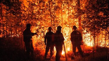Continua gran incendio forestal en Parque Nacional Macarao (+Detalles)