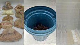 Hombre vendía medicamentos naturales falsos por Marketplace