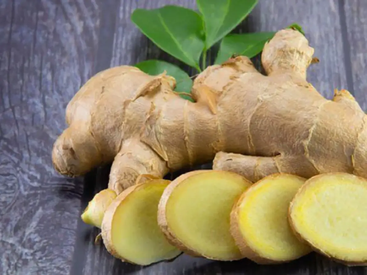 Conoce todos los beneficios del jengibre para tu vida