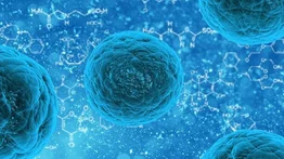 Enfermedad X ¿Por qué es prioridad para la OMS?