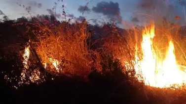Último Minuto: Reportan incendio forestal en Los Teques (+Video) Último Minuto: Reportan incendio forestal en Los Teques (+Video)