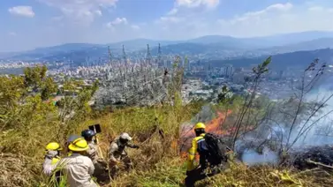Piden a visitantes acatar las siguientes normas para evitar incendios en parques nacionales Piden a visitantes acatar las siguientes normas para evitar incendios en parques nacionales