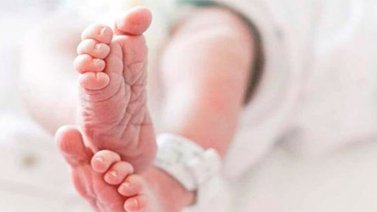Detienen a una pareja que guardaba los cadáveres de sus hijos en botellas de vidrio