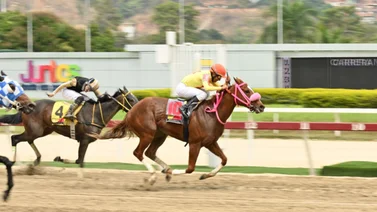 La Rinconada: Duelo de tresañeras en el Clásico Ana María Freudman (GIII)