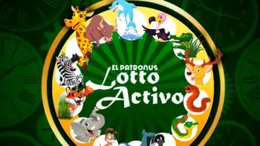 Consulte aquí los resultados del Lotto Activo Consulte aquí los resultados del Lotto Activo