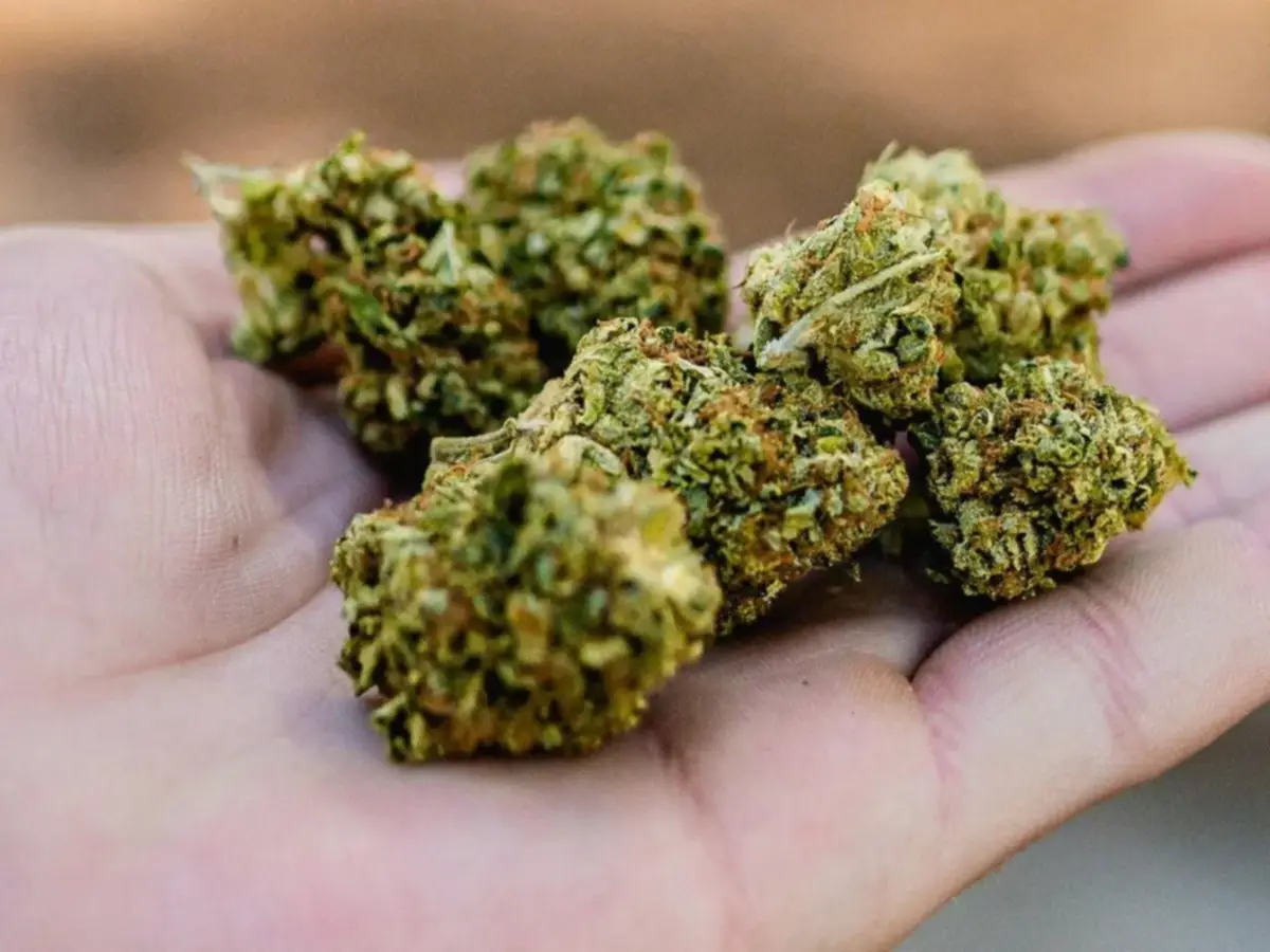 Spring Break | Romper esta norma te puede llevar a la cárcel en Miami Beach