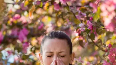 Combate las alergias causadas por el polvo del Sahara Combate las alergias causadas por el polvo del Sahara