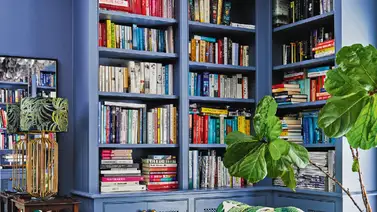 Exalta tus momentos de lectura Exalta tus momentos de lectura