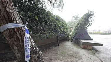 Detienen a la madre del hijo que fue hallado muerto en España