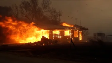EEUU | Confirman primera muerte por incendios forestales en Texas